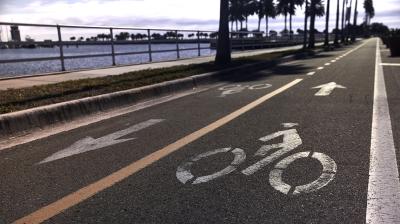 Trek Verve+ 1 LS M Matte Deep Dark Blue Produktbild 3