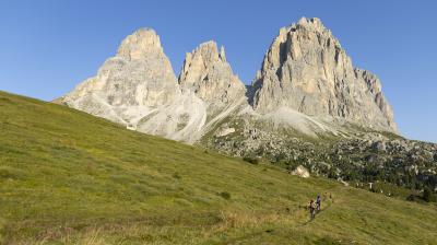 Trek Powerfly+ 8 EU L 29 Satin Lunar Silver/Bronze Age Produktbild 9