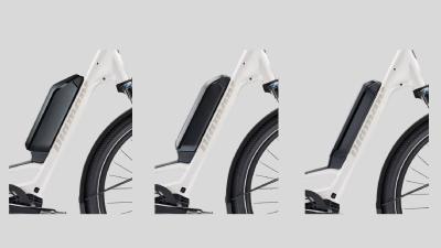 Diamant Zing Trip Core LS M Baumwollweiss Metallic 800Wh Produktbild 6